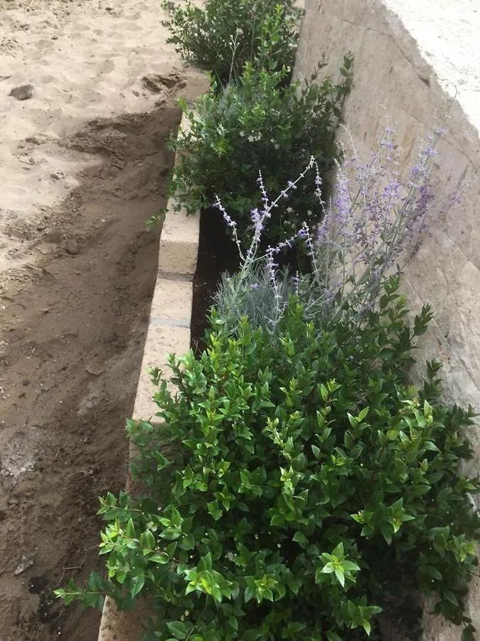 Tenuta Le Marze Castiglione della Pescaia Daire