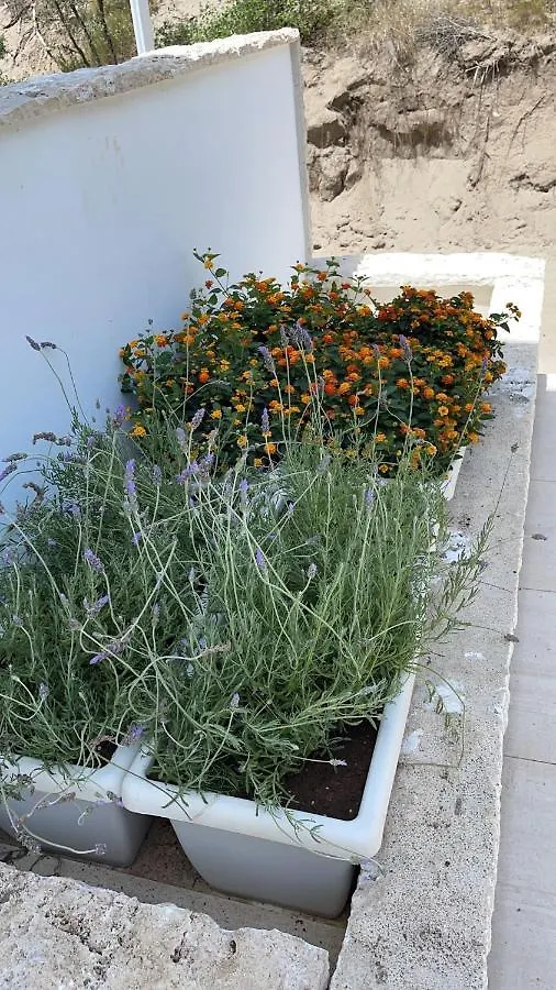 Apartment Tenuta Le Marze Castiglione della Pescaia Italy