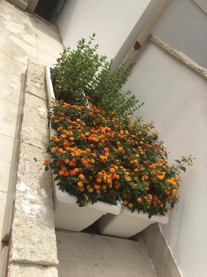 Apartment Tenuta Le Marze Castiglione della Pescaia Italy