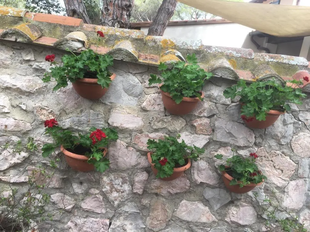Tenuta Le Marze Castiglione della Pescaia 0*,
